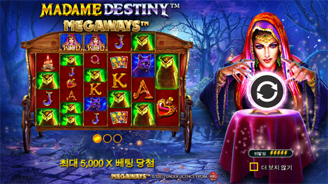 매지션즈 시크릿