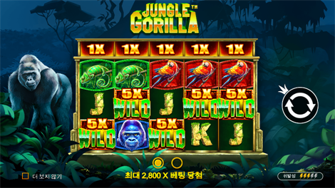 하키 리그 와일드 매치